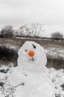 white snowman with orange round fruit by Krzysztof Hepner courtesy of Unsplash.