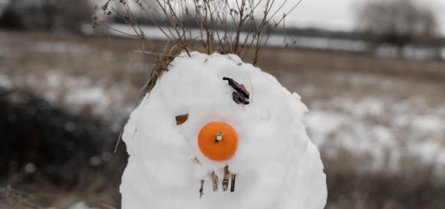 white snowman with orange round fruit by Krzysztof Hepner courtesy of Unsplash.